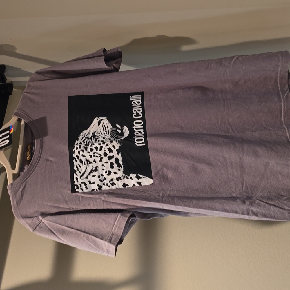 11. Cavalli M